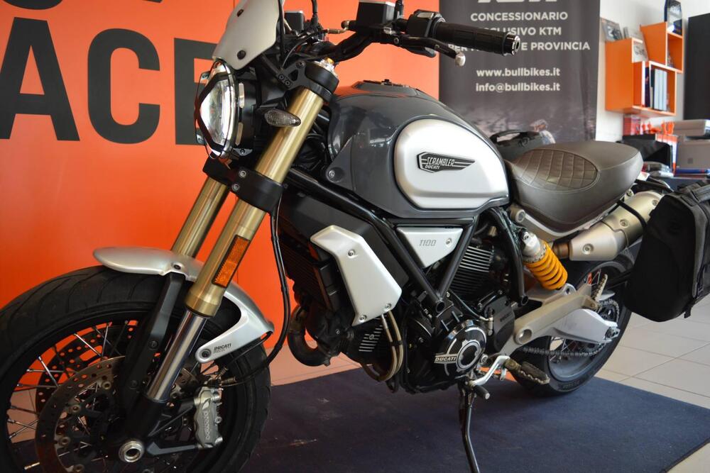 Ducati Scrambler 1100 (2018 - 20) (5)