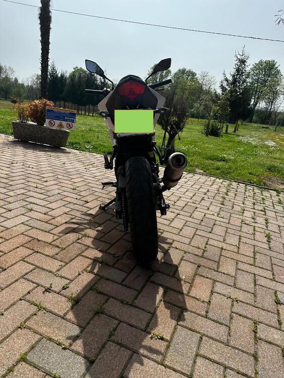 Kawasaki Z 125 (2019 - 20) (4)