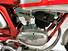 MV Agusta MV Agusta 150 Sport RS 1966, Targa VA, Conservato (11)