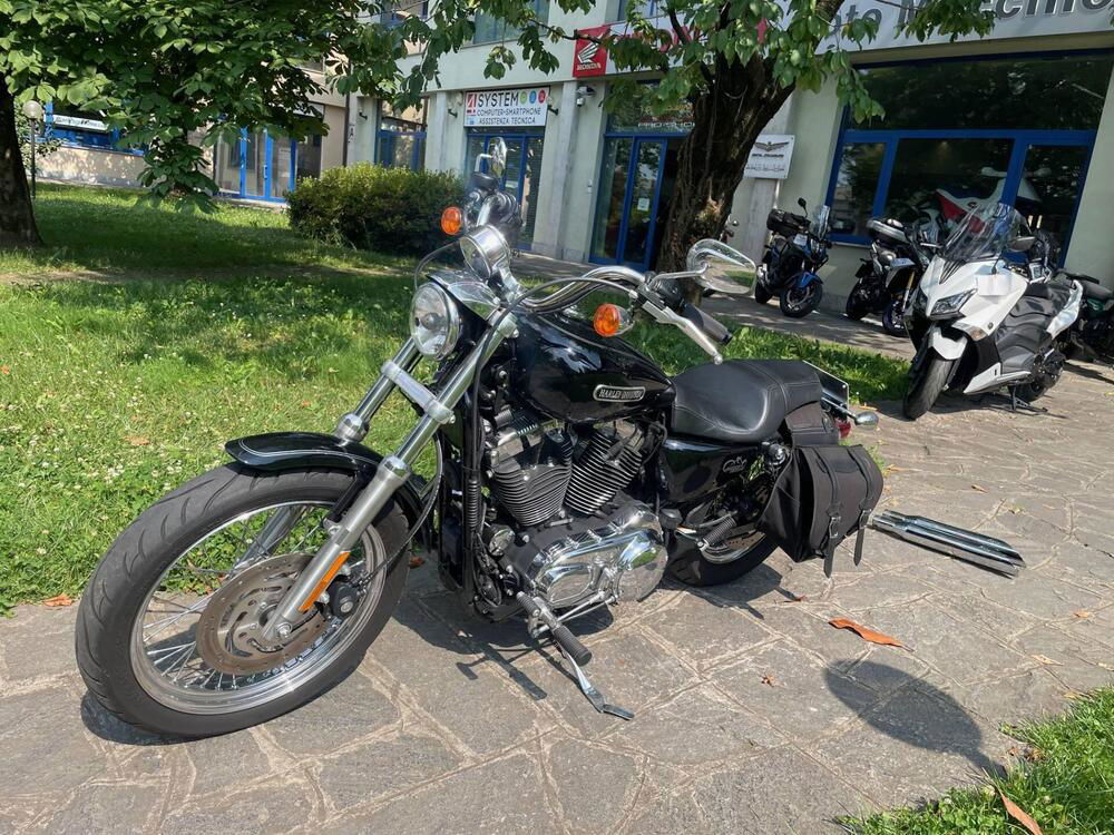 Harley-Davidson 1200 Custom (2007 - 13) - XL 1200C (2)