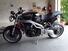 Triumph Speed Triple 955 (2002 - 04) (6)