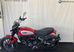 Ducati Scrambler 800 Icon (2021 - 22) usata