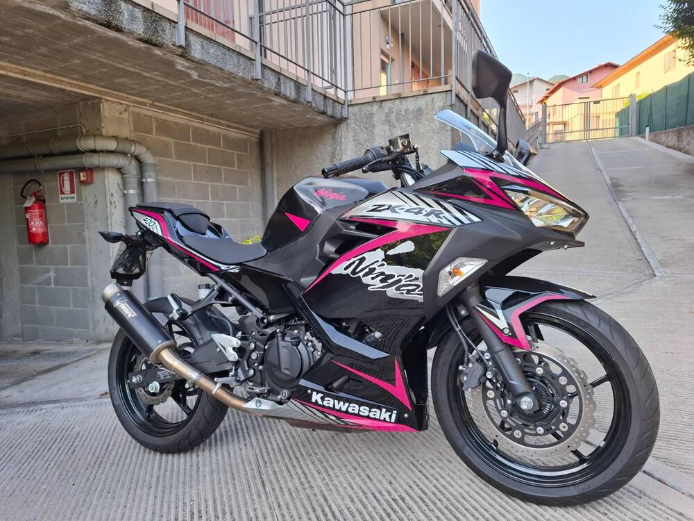 Kawasaki Ninja 400 (2018 - 20) (2)