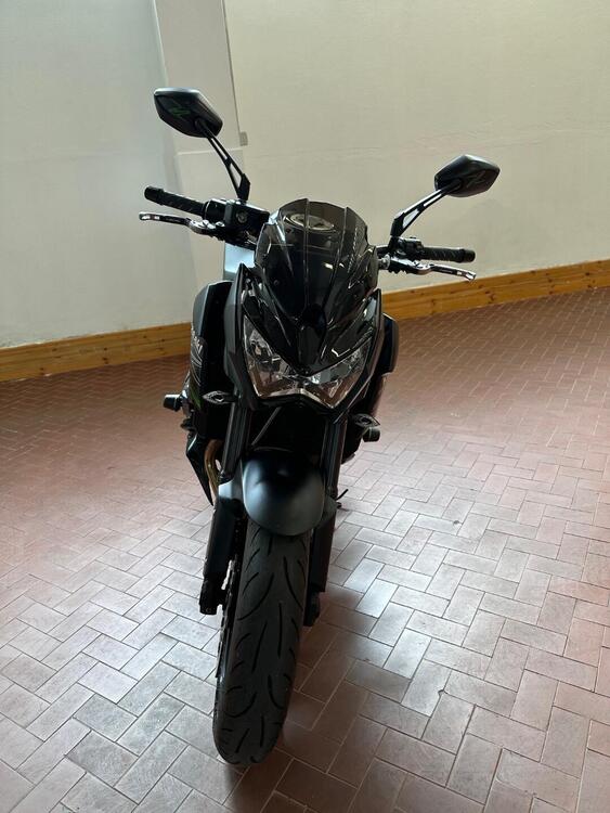 Kawasaki Z 800 (2012 - 13) (2)