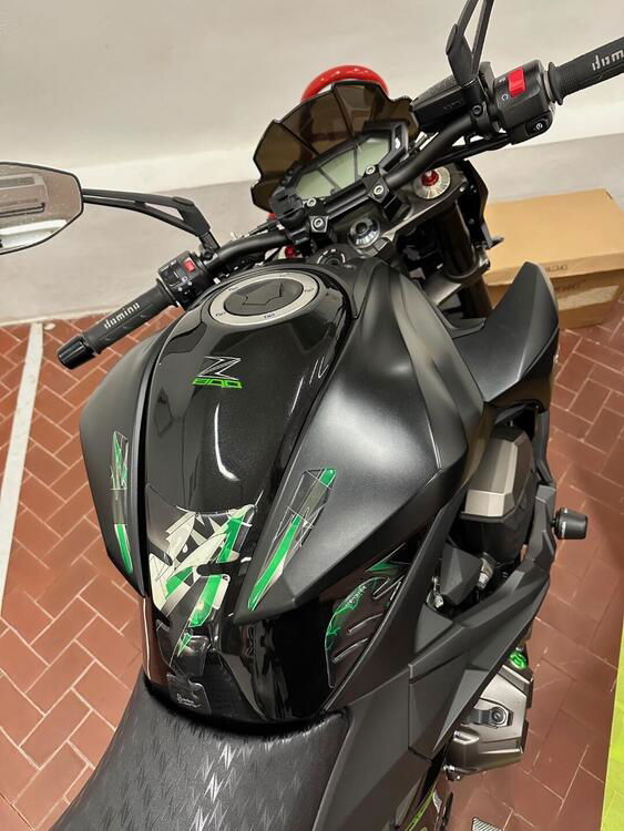 Kawasaki Z 800 (2012 - 13) (4)