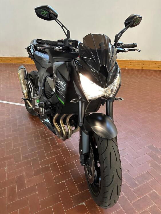 Kawasaki Z 800 (2012 - 13) (5)