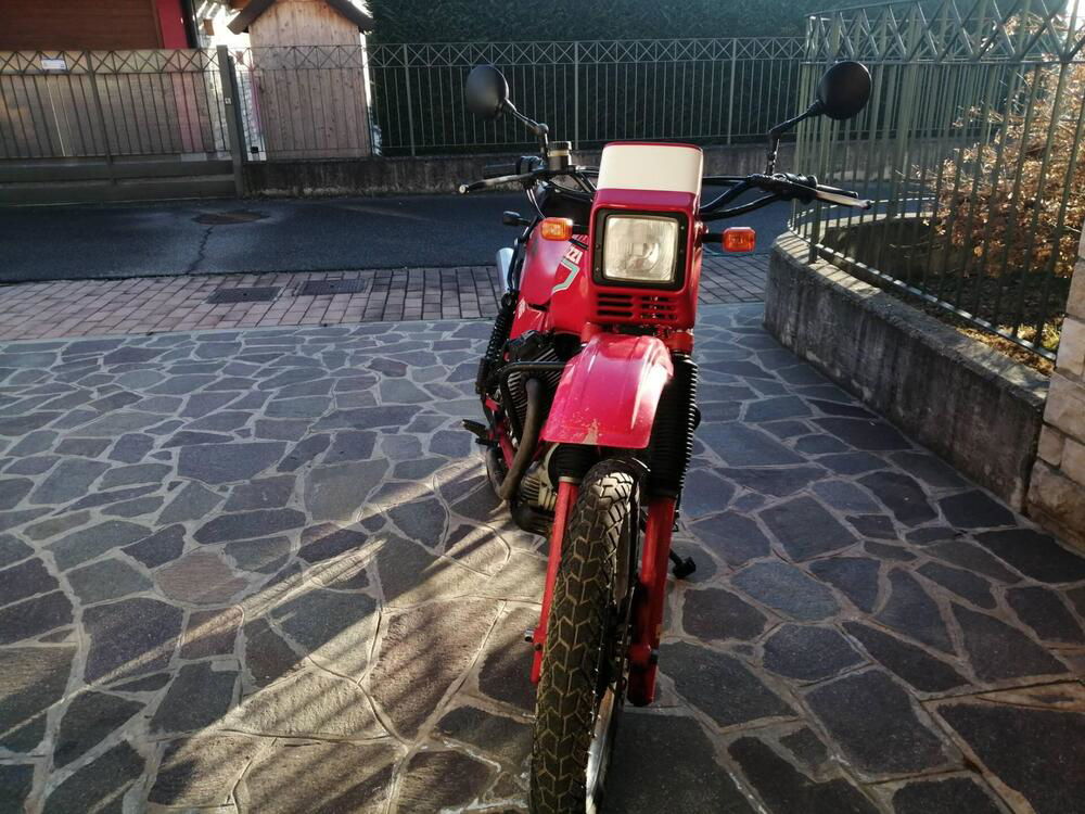 Moto Guzzi v65 TT (3)