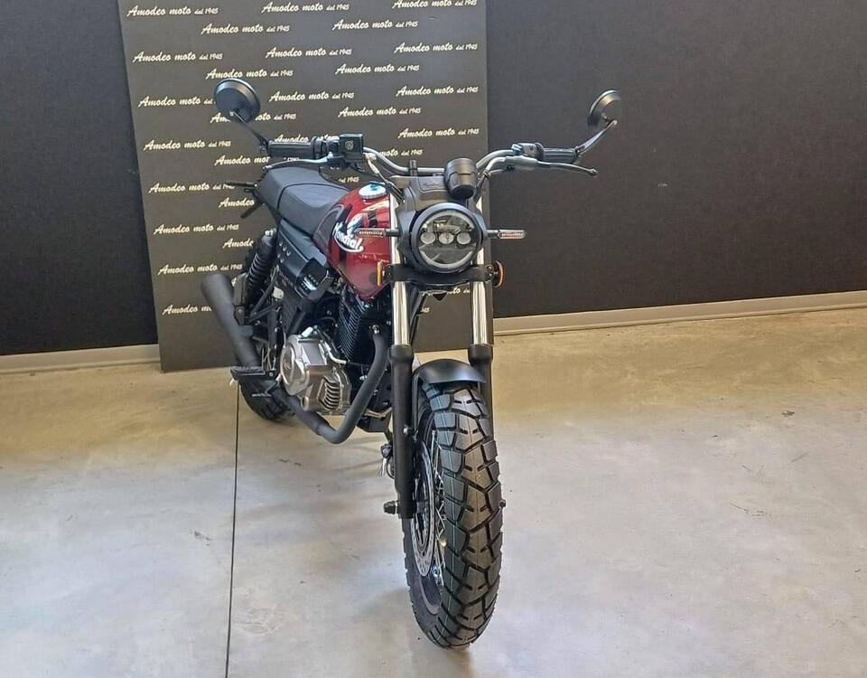 FB Mondial Spartan 250 (2024) (2)