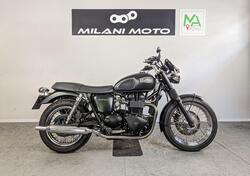 Triumph Bonneville 800 (2002 - 07) usata