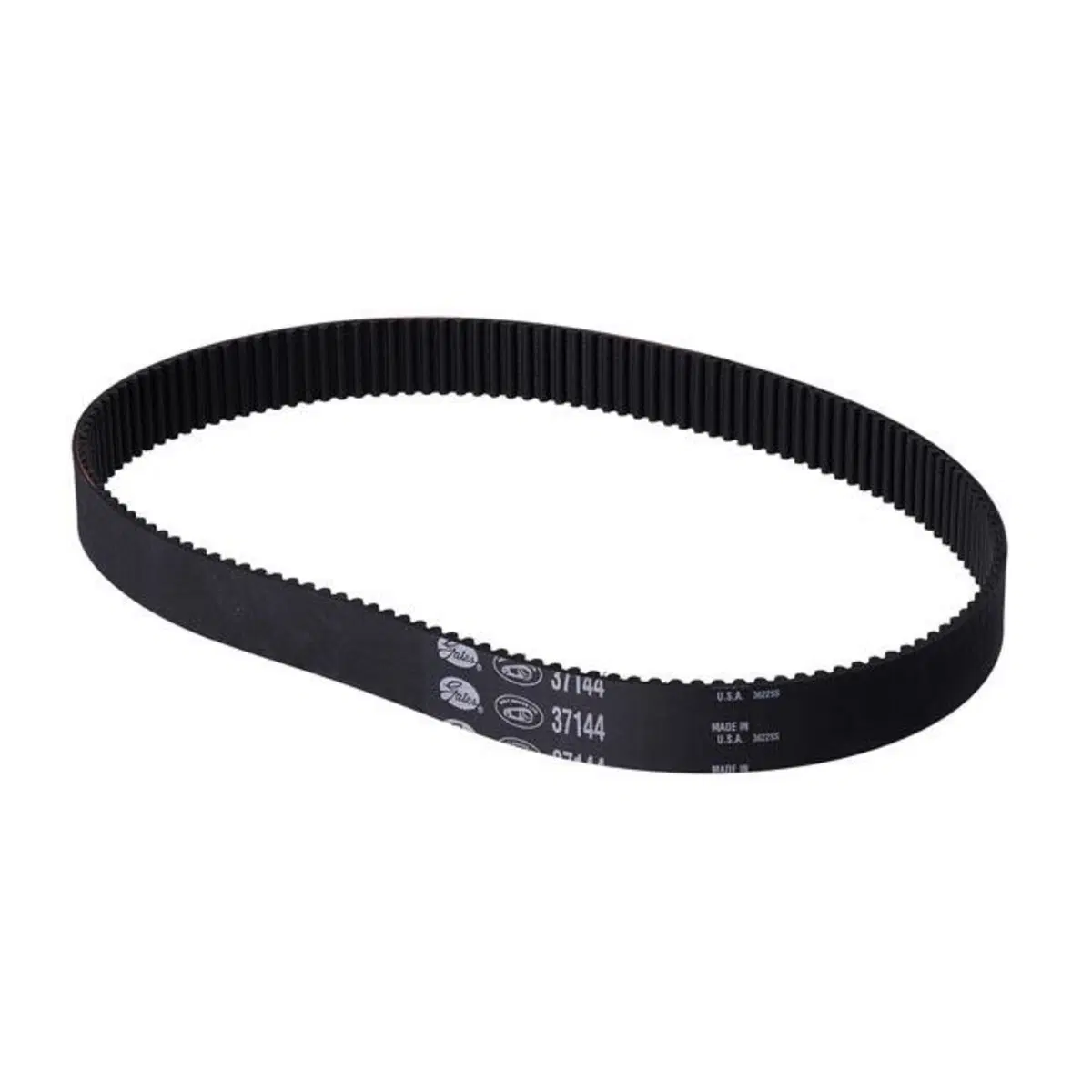 Cinghia primaria larga 1-1/2" (38 mm) da 144 denti 