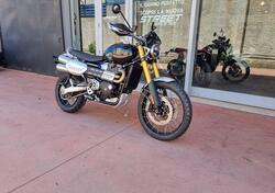 Triumph Scrambler 1200 XE (2024) nuova