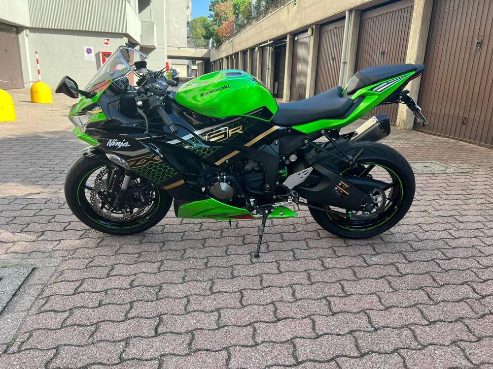 Kawasaki Ninja 636 ZX-6R KRT (2019 - 20) (2)