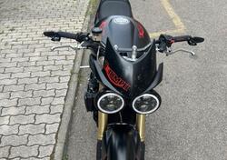 Triumph Speed Triple 1050 (2005 - 11) usata