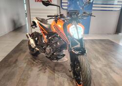 KTM 125 Duke ABS (2017 - 20) usata