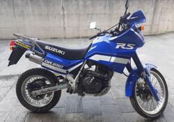 Suzuki DR 650 RS (1989 - 90) usata