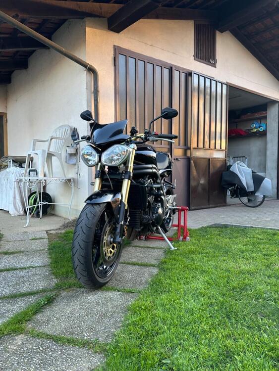 Triumph Speed Triple 1050 (2005 - 11) (3)