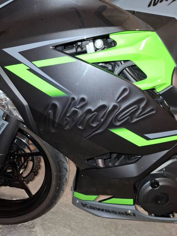 Kawasaki Ninja 400 (2018 - 20) (3)