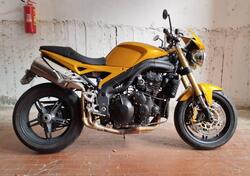 Triumph Speed Triple 1050 (2005 - 11) usata