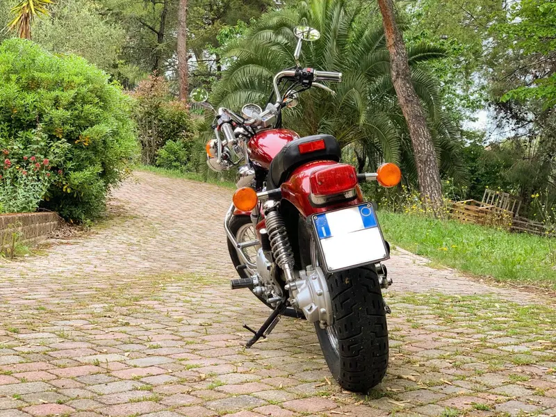 Yamaha XV 535 Virago (7)