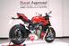 Ducati Streetfighter V4 1100 S (2021 - 22) (8)