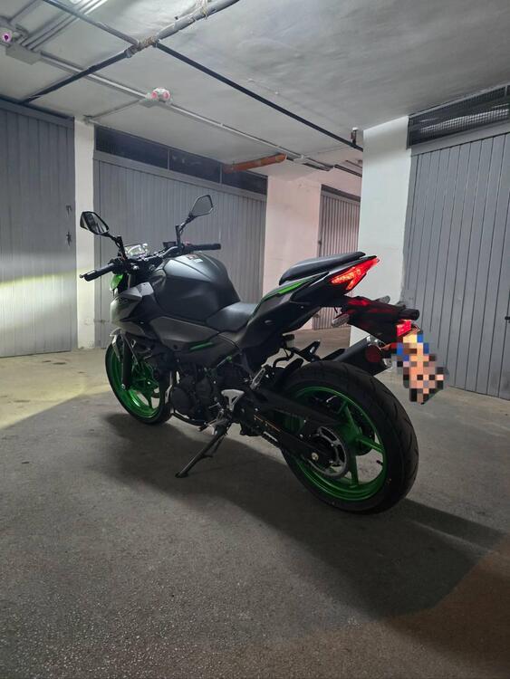 Kawasaki Z 500 SE (2024) (2)