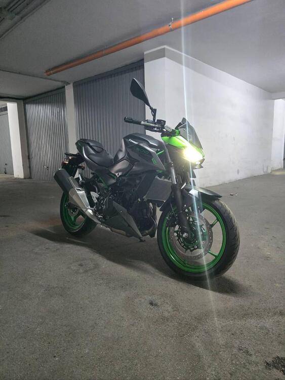 Kawasaki Z 500 SE (2024) (3)