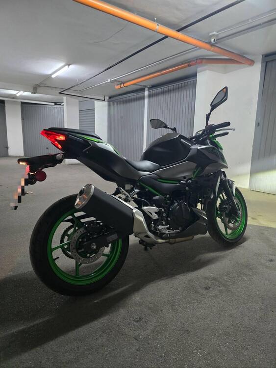 Kawasaki Z 500 SE (2024) (4)