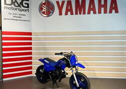 Yamaha PW 50 (2022) usata