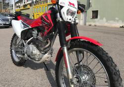 HM CRE 230 F Easy Enduro (2004 - 06)  usata