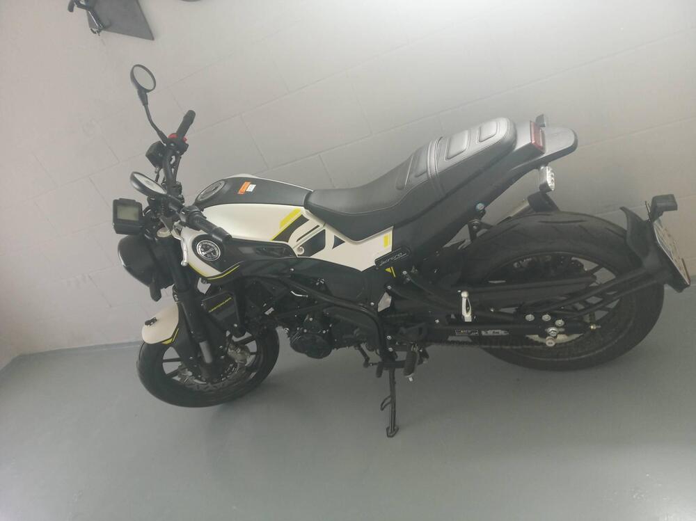 Benelli Leoncino 250 (2021 - 24) (5)