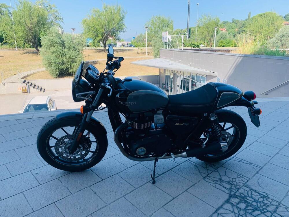 Triumph Street Cup 900 (2017 - 19) (3)