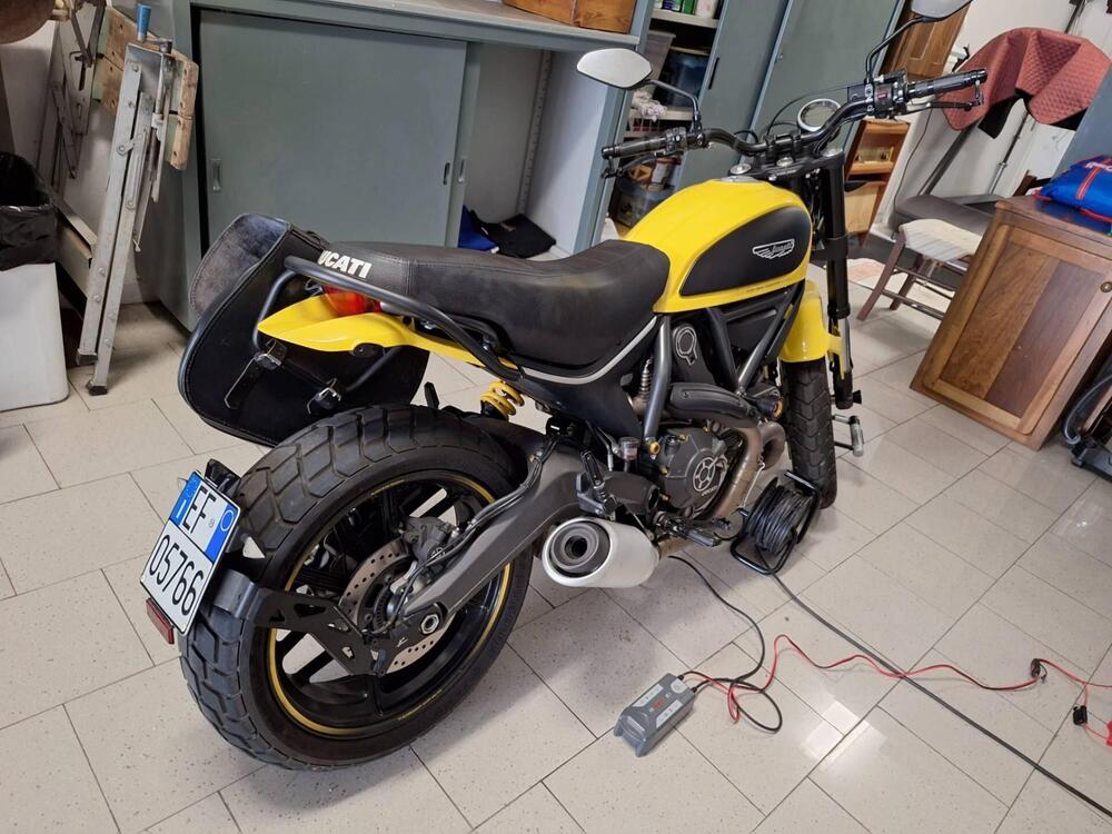 Ducati Scrambler 800 Icon (2015 - 16) (2)