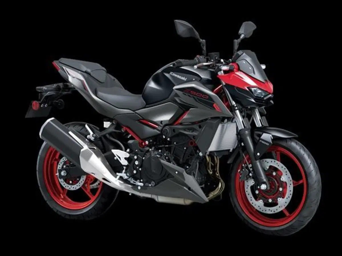 Kawasaki Z 500 SE (2024 - 26) (2)