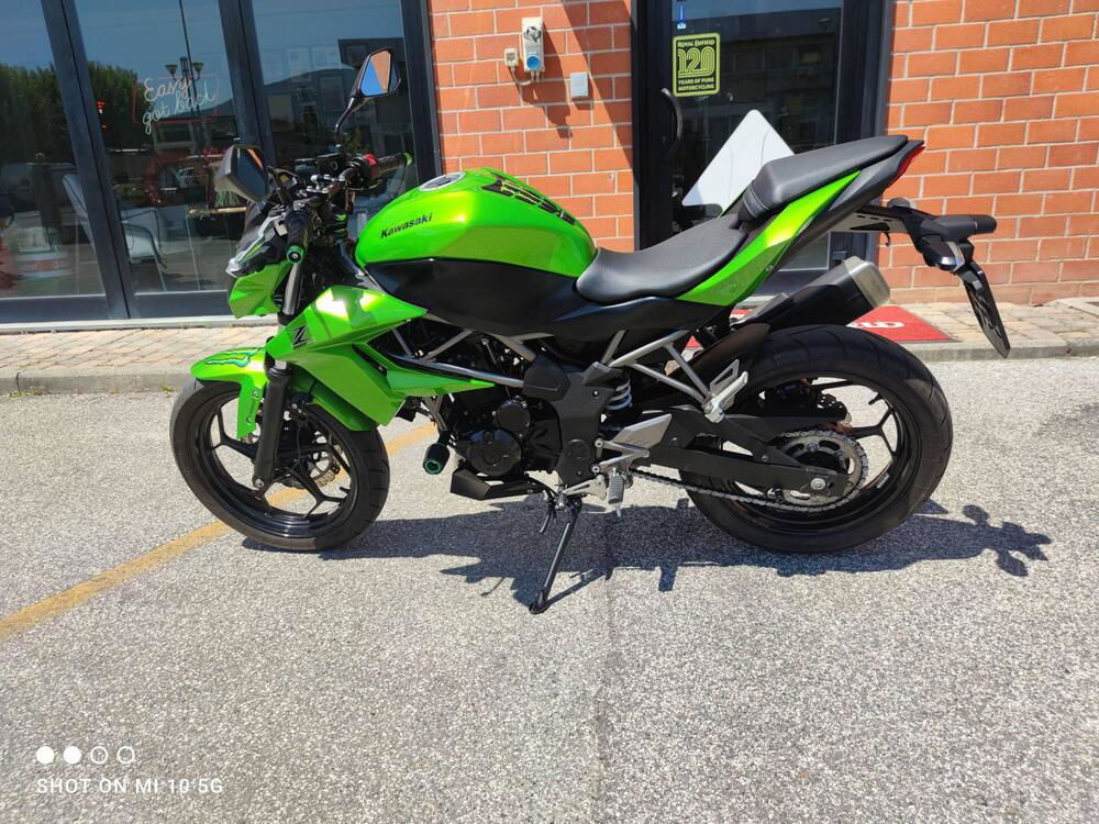 Kawasaki Z 250 SL ABS (2015 - 16)