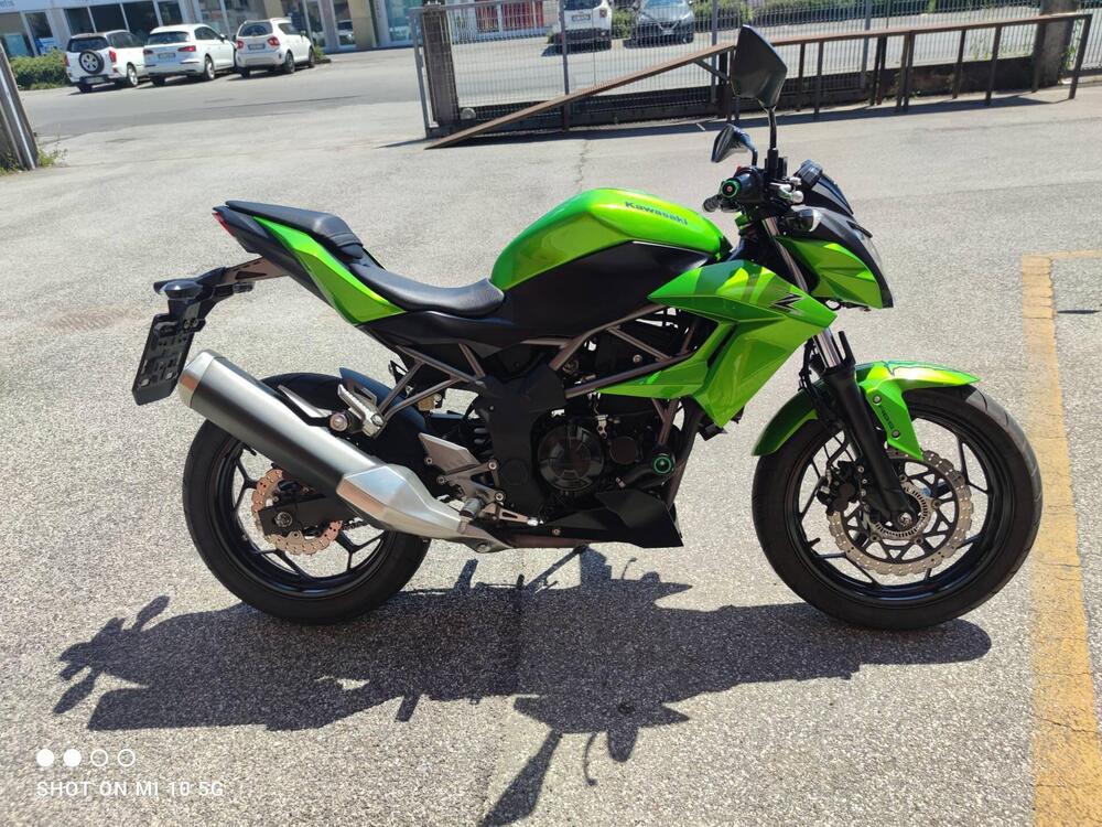 Kawasaki Z 250 SL ABS (2015 - 16) (2)