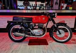 Gilera Dakota 350 usata