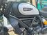 Ducati Scrambler 800 Icon Dark (2021 - 22) (17)