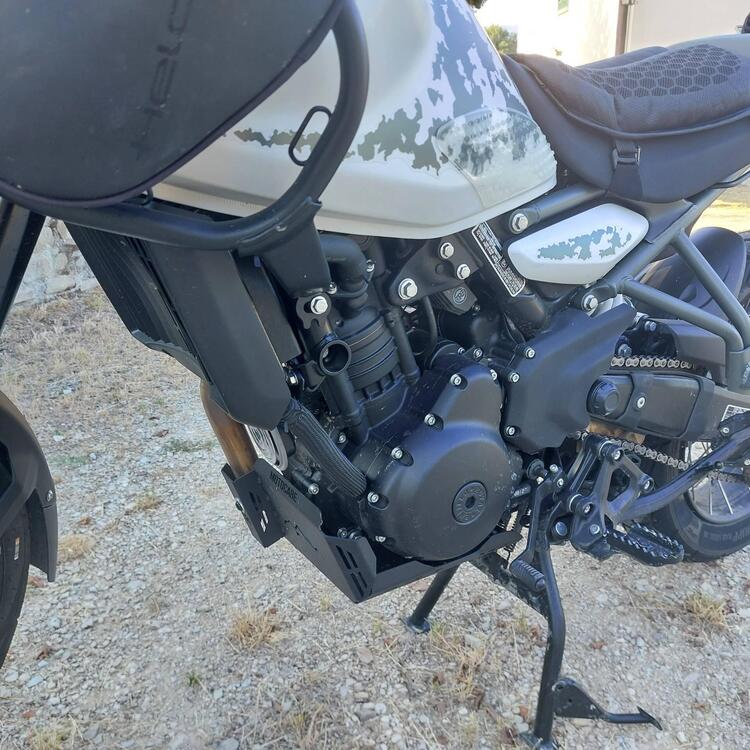 Royal Enfield Himalayan 450 (2024) (2)