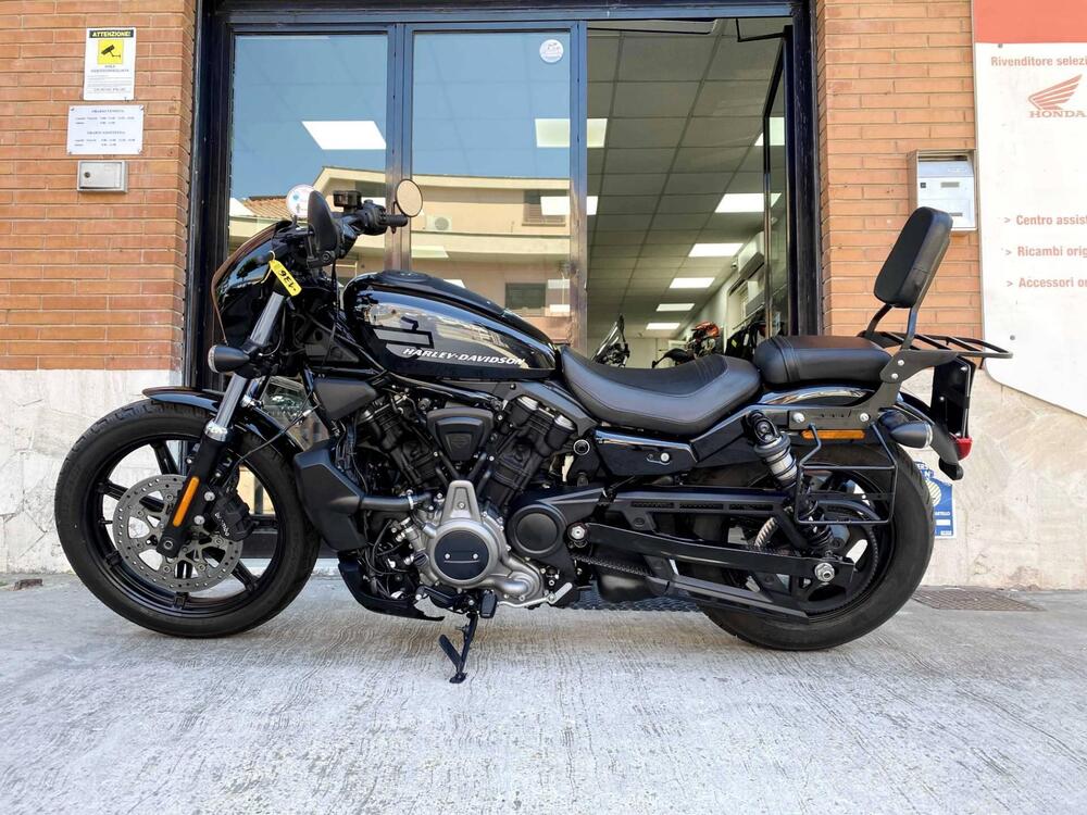 Harley-Davidson Nightster (2023 - 24) (5)