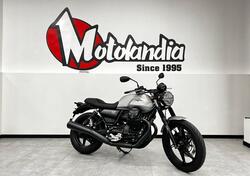 Moto Guzzi V7 Stone (2021 - 24) nuova