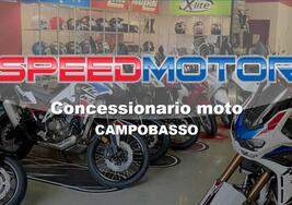 Model.CompanyName