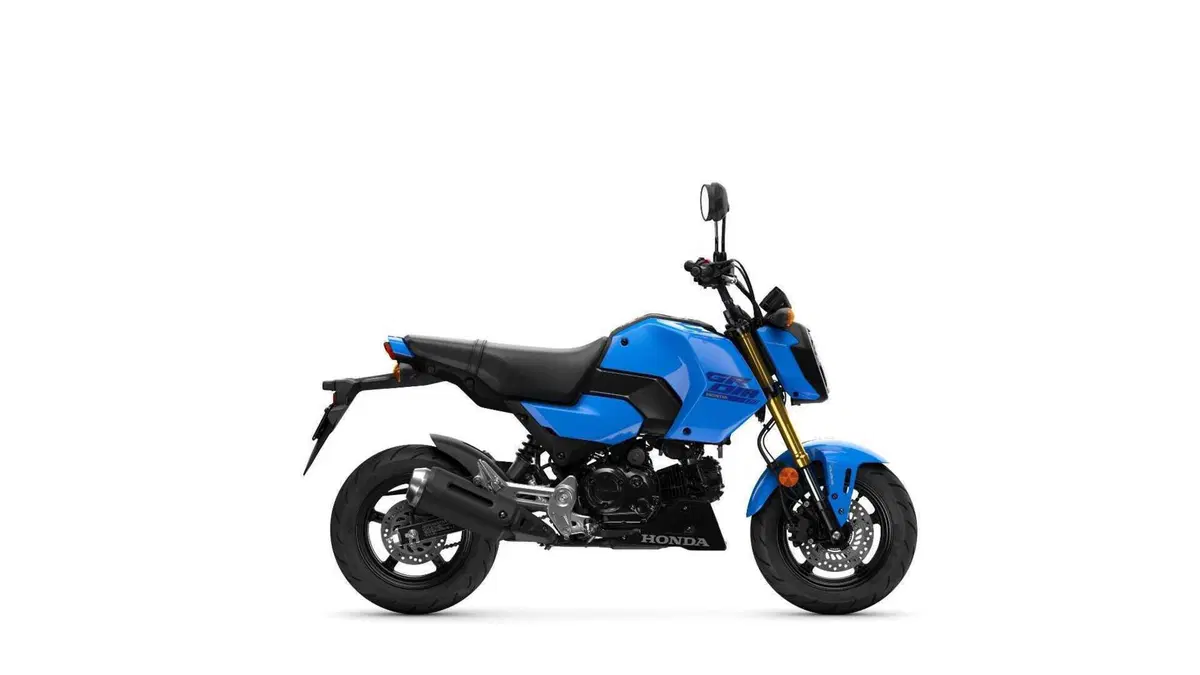 Honda MSX 125, aggiornamento 2025 per la mini “streetfighter”  (4)