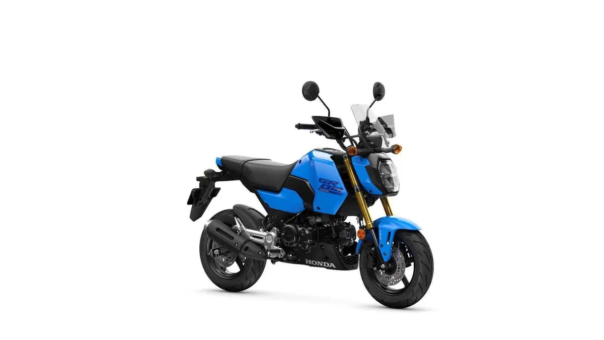 Honda MSX 125, aggiornamento 2025 per la mini “streetfighter” 