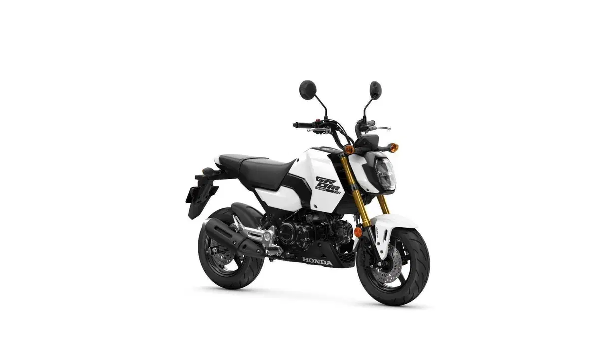 Honda MSX 125, aggiornamento 2025 per la mini “streetfighter”  (7)