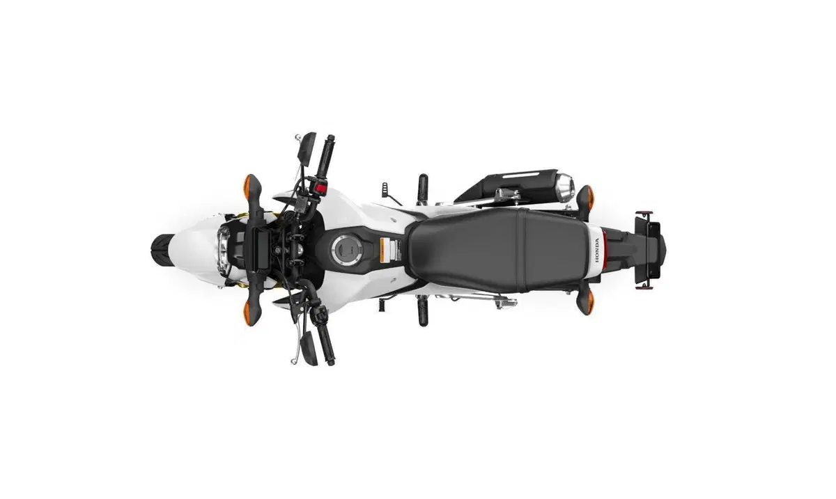 Honda MSX 125, aggiornamento 2025 per la mini “streetfighter”  (8)