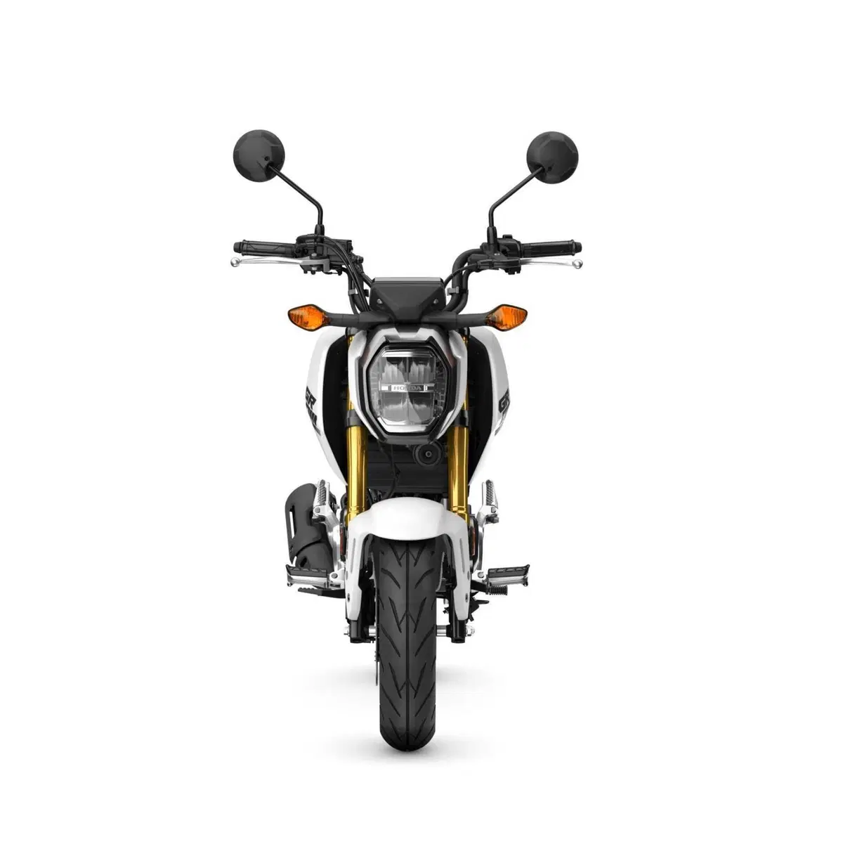 Honda MSX 125, aggiornamento 2025 per la mini “streetfighter”  (10)