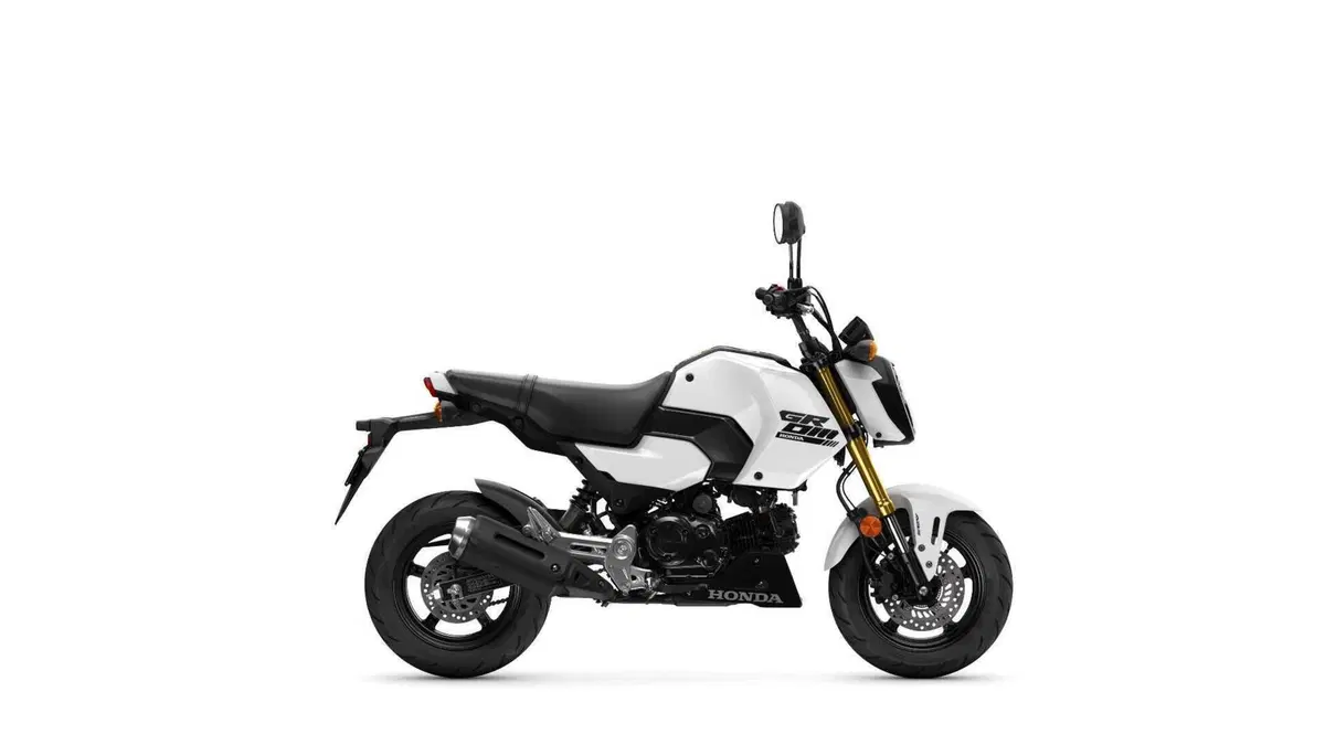 Honda MSX 125, aggiornamento 2025 per la mini “streetfighter”  (2)