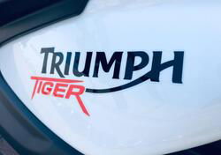 Triumph Tiger 800 XC ABS (2010 - 14) usata