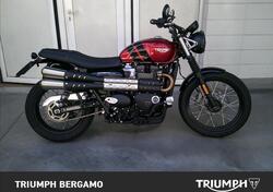 Triumph Scrambler 900 (2023 - 24) usata