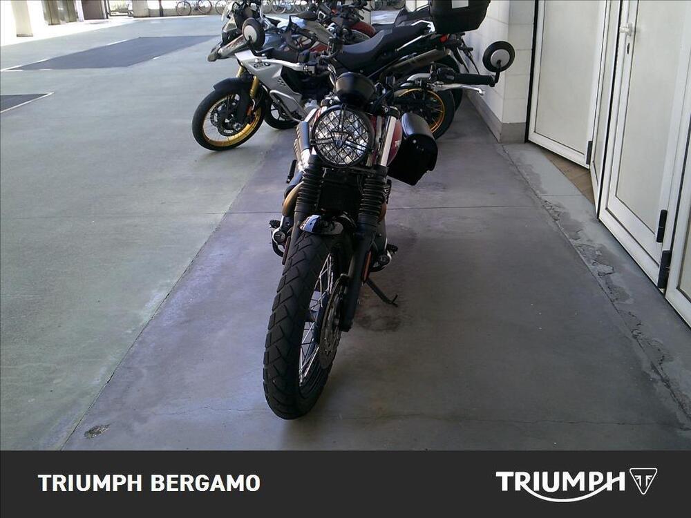 Triumph Scrambler 900 (2023 - 24) (5)